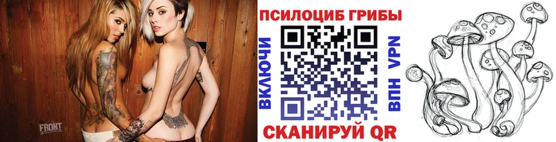 это какой сайт  Буй  Псилоцибиновые грибы Magic Shrooms 